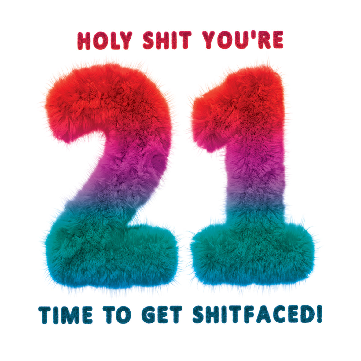 Funny 21st Birthday, Holy Shit You're 21 Time To Get Shitfaced! Birthday Card (Pack of 6)