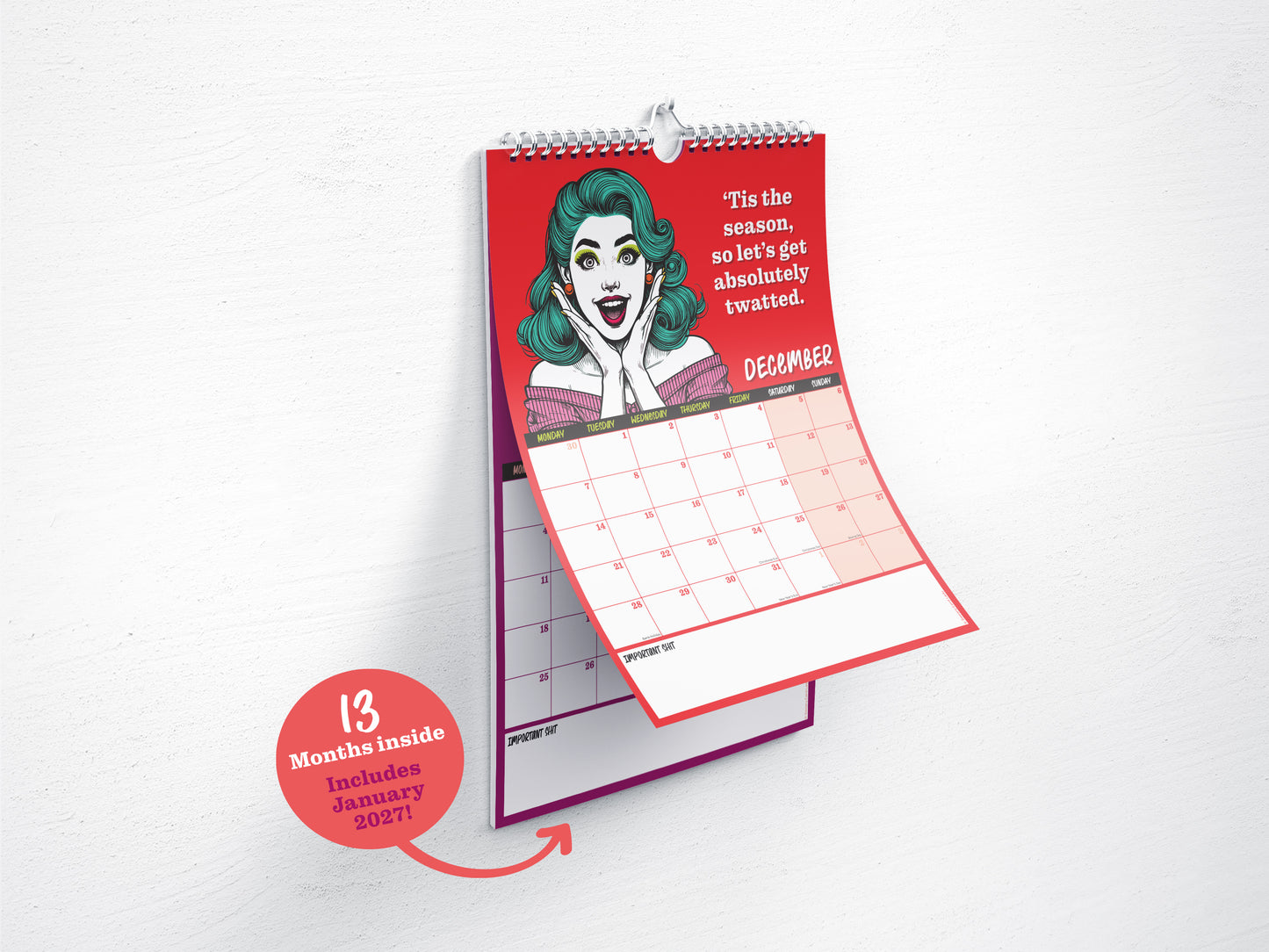 A F*cking Fabulous 2026 Calendar, A4 size - 13 months - includes January 2027! (pack of 20)